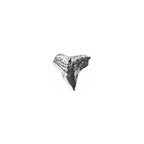 Shark Tooth Lapel Pin