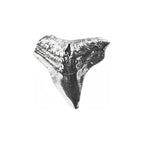 Shark Tooth Lapel Pin